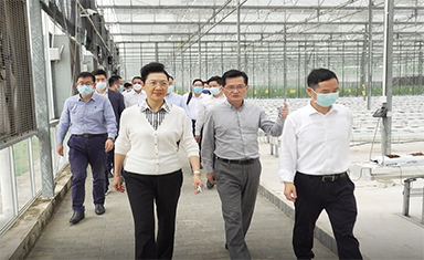 深圳市政協經濟委副主任、多彩集團董事長夏煒參加市政協調研并發言